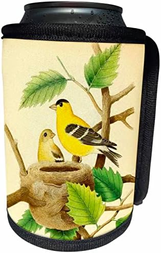 3Drose Vintage Bird Art Print American Goldfinch frumos. - Poate o înveliș cu sticlă mai rece