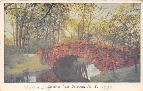Brisben, New York Postcard
