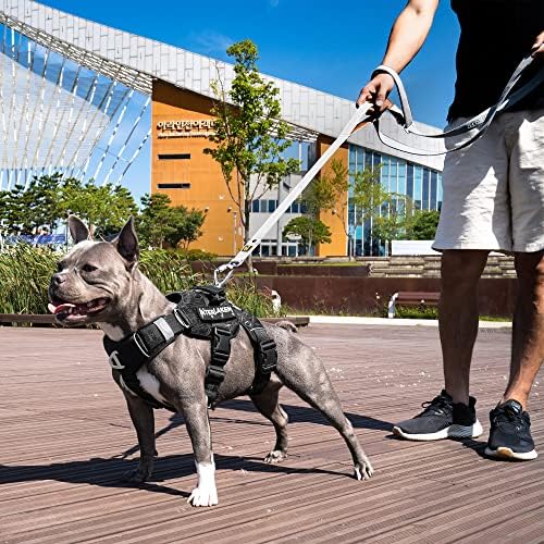 SAFE Twist Lock Carabining Dog Lesa - Material de aluminiu ușor și durabil, mâner de prindere confortabil, țesătură din piele