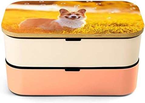 Portret drăguț câine cățeluș Corgi cutii dublu strat bento cutie de prânz cu set de ustensile container de prânz stivuibil
