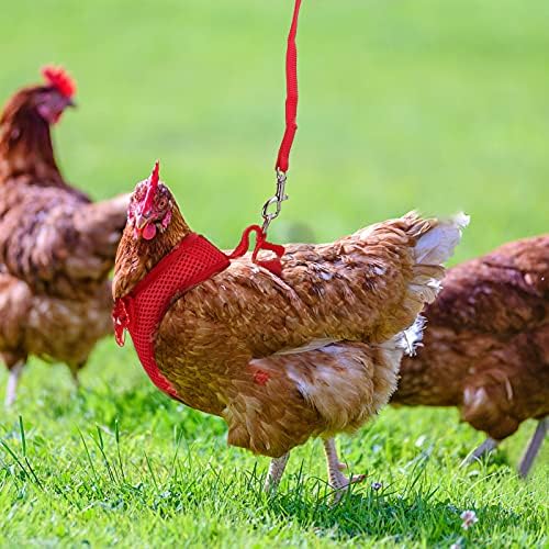 Rochie de vară stobok 1 harnașă pentru animale de companie set set harnașă de pui reglabilă cu lesă respirabil vestă de găină