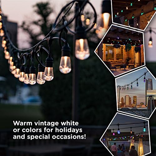 Enbrighten 37790, anotimpuri negre, vintage LED LED White White & Color care schimbă lumini cu coarde de cafenea, 48ft și clasic