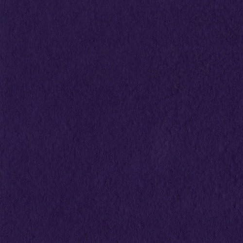 Bazine Bazzill 19-6134 Cardstock prismatic, violet clasic, pachet de 25 de foi, 8,5 x 11 inci