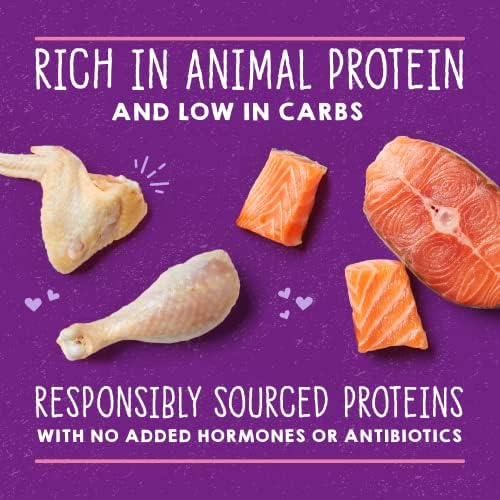 Stella & amp; Chewy ' s Carnivore Cravings Cutii de Pate Purrfect - hrană umedă pentru pisici fără cereale, bogată în proteine-rețetă