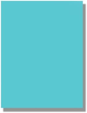 Bazzill - 8,5 x 11 Cardstock - Canvas Bling Texture - Glitz