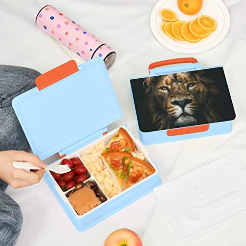 Alaza Lion Bento Box de prânz