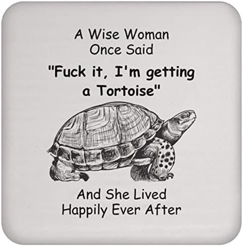 Suspale amuzant Cadouri de țestoasă pentru femei Crăciun 2023 Cadou coaster