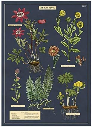 Cavallini & Co. Foaie decorativă de hârtie 20 x28- Herbarium